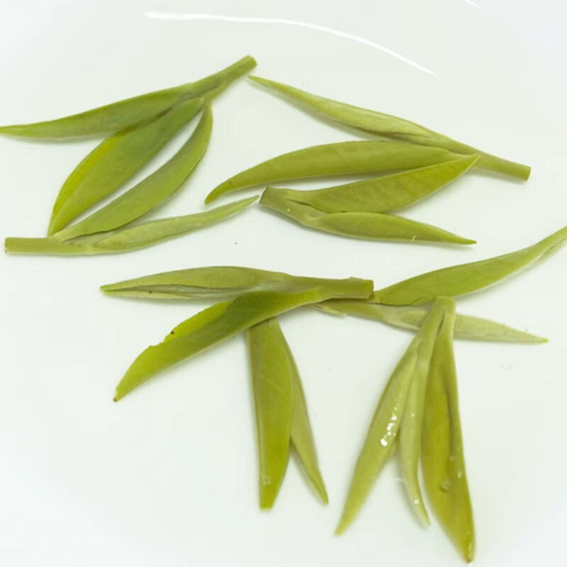 Yuhua Tea Canned Tea New Tea Green Tea Yijing New Product Tea Small Fat Can