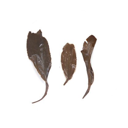 Yingde Black Tea Ying Hong No.9 Tea China Red Tea 250g
