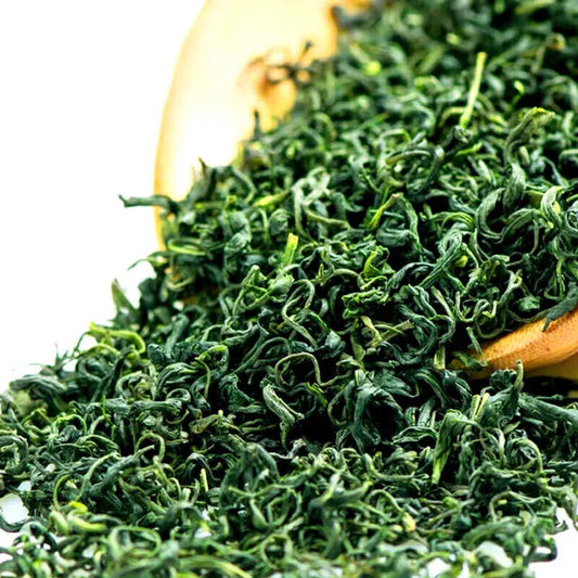 Rolls Church Green Tea New Tea Bright Front Strong Aroma Steeping Loose