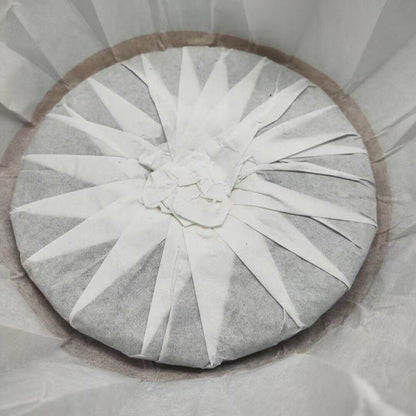 357g Yunnan Pu'er Tea 2022 Pagong Gushu First Spring Pu'er Raw Tea Cake Tea