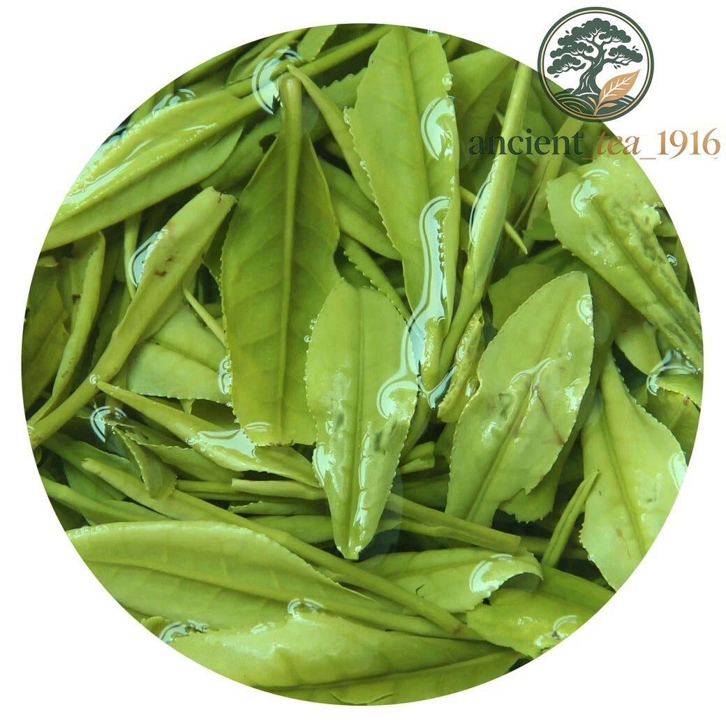 250g Anji Baicha Baipian White Slice Tea Spring GREEN TEA Loose leaf