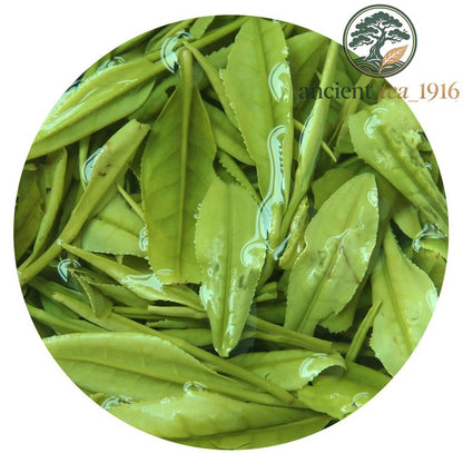 250g Anji Baicha Baipian White Slice Tea Spring GREEN TEA Loose leaf