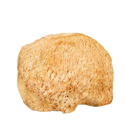 Dried Lion's Mane Mushroom 500g/1.1LB - Premium Quality