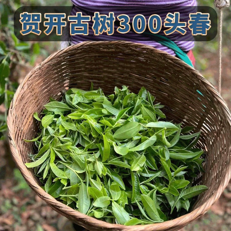 357g Yunnan 2022 Ancient Tree Gongbing Pu'er Tea Raw Tea Cake Qizi Cake Tea