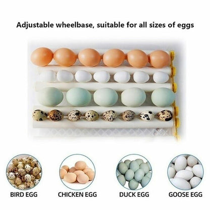 Chicken Duck Egg Incubator Automatic Digital Turner Poultry Hatching Machine