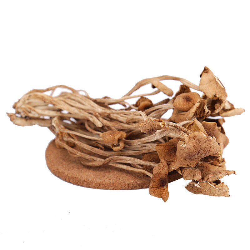 Premium Dried Tea Tree Mushroom 250g/bag Chinese Herbal Agrocybe Cylindracea New
