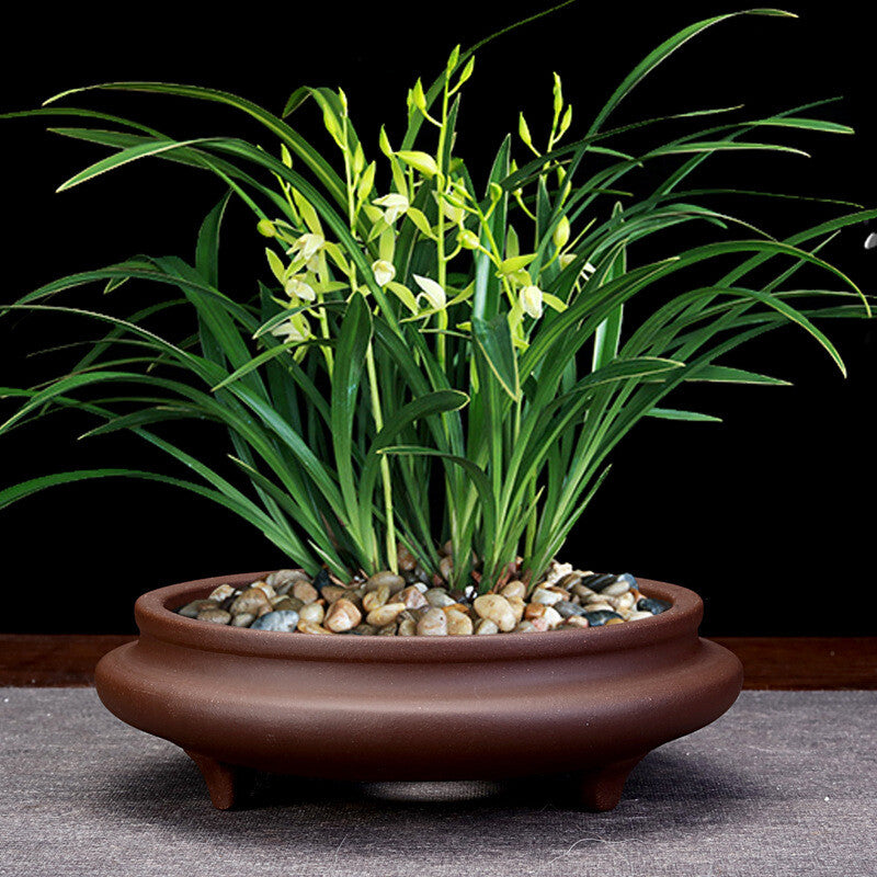6" Zisha Flower Pot Desktop Round Bonsai Pot Succulent Calamus Pot For Tea Tray