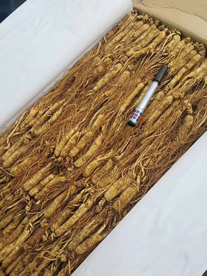 Dry Transplant Wild Ginseng Root 10-15 Years relative integrity Chinese ginseng