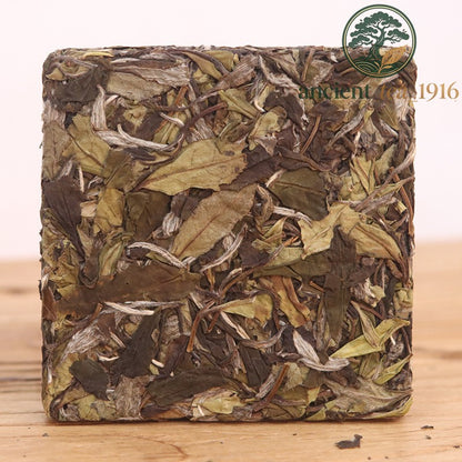 100g 2019 Fuding White Tea Small Square Brick Fujian High Mountain White Tea