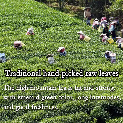Premium Taiwan High Mountain Tea Alishan Tea Jinxuan Milk Oolong Tea 250g