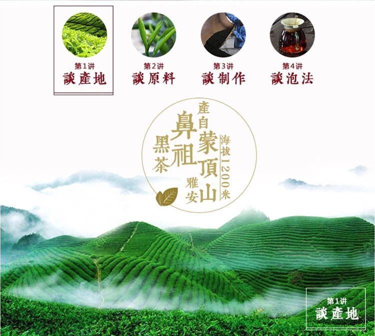 Ya'an Tibetan Tea Buds Fine Round Cake 雅安藏茶芽细小圆饼 (一芽一叶)黑茶砖茶金尖康砖蒙顶山茶
