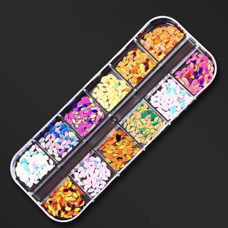 Nail Art Decor 12Design Box 3D Irregular Abalone Seashell Fragment Flakes Charms