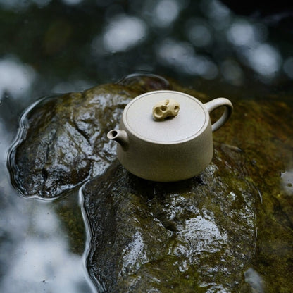 160ml Marked Tea Pot Real Yixing Zisha Qing Duan Clay Master Handmade Pot 7 Hole