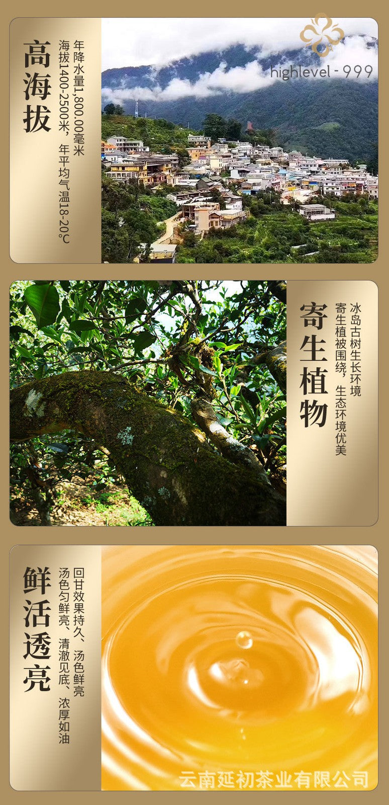 357g Raw Pu'er Tea Cake Bingdao Chunliao Ancient Tree Yunnan Compressed Tea