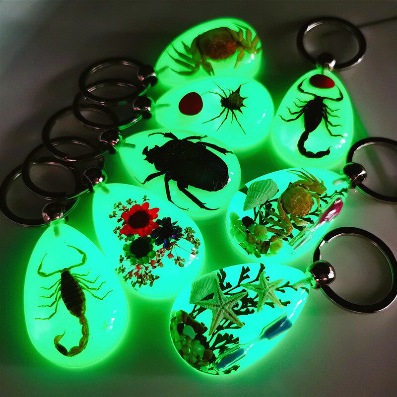 Luminous key chain amber insect ornament holiday gift crab seahorse ant flower