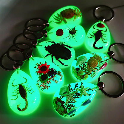 Luminous key chain amber insect ornament holiday gift crab seahorse ant flower