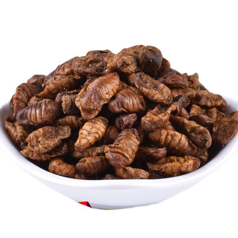 Dried Cicada Chrysalis Dried Silkworm Chrysalis Chinese Herbs 500g/1.1lb