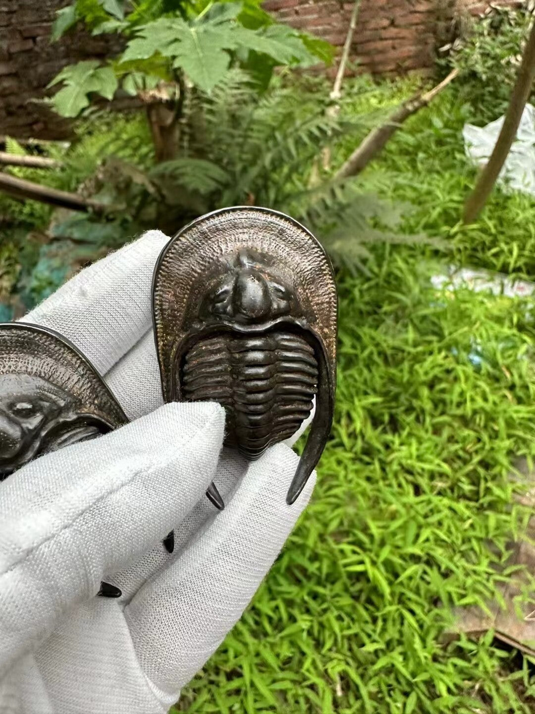 Chinese Old Bronze Hand Casting Trilobite Statue Netsuke Collectable Ornament