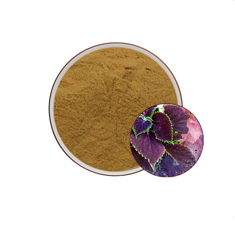 100% Pure Perilla Frutescens Leaf 10:1 Extract Powder 100g~500g