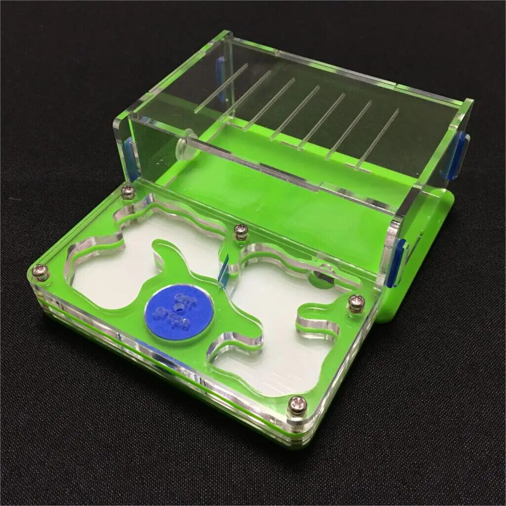 Ant-Grape Series Acrylic Plane Design Feeding Area Insect Antvilla 10.6x12.6x5cm
