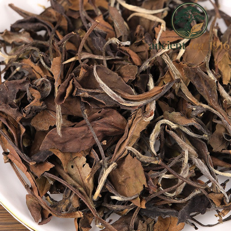 500g 2015 Fuding White Tea Shoumei Chenxiang Loose Tea