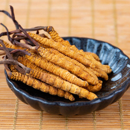 Wild Cordyceps Sinensis From High Himalaya China Tibet Puretaste 2pcs(1g)