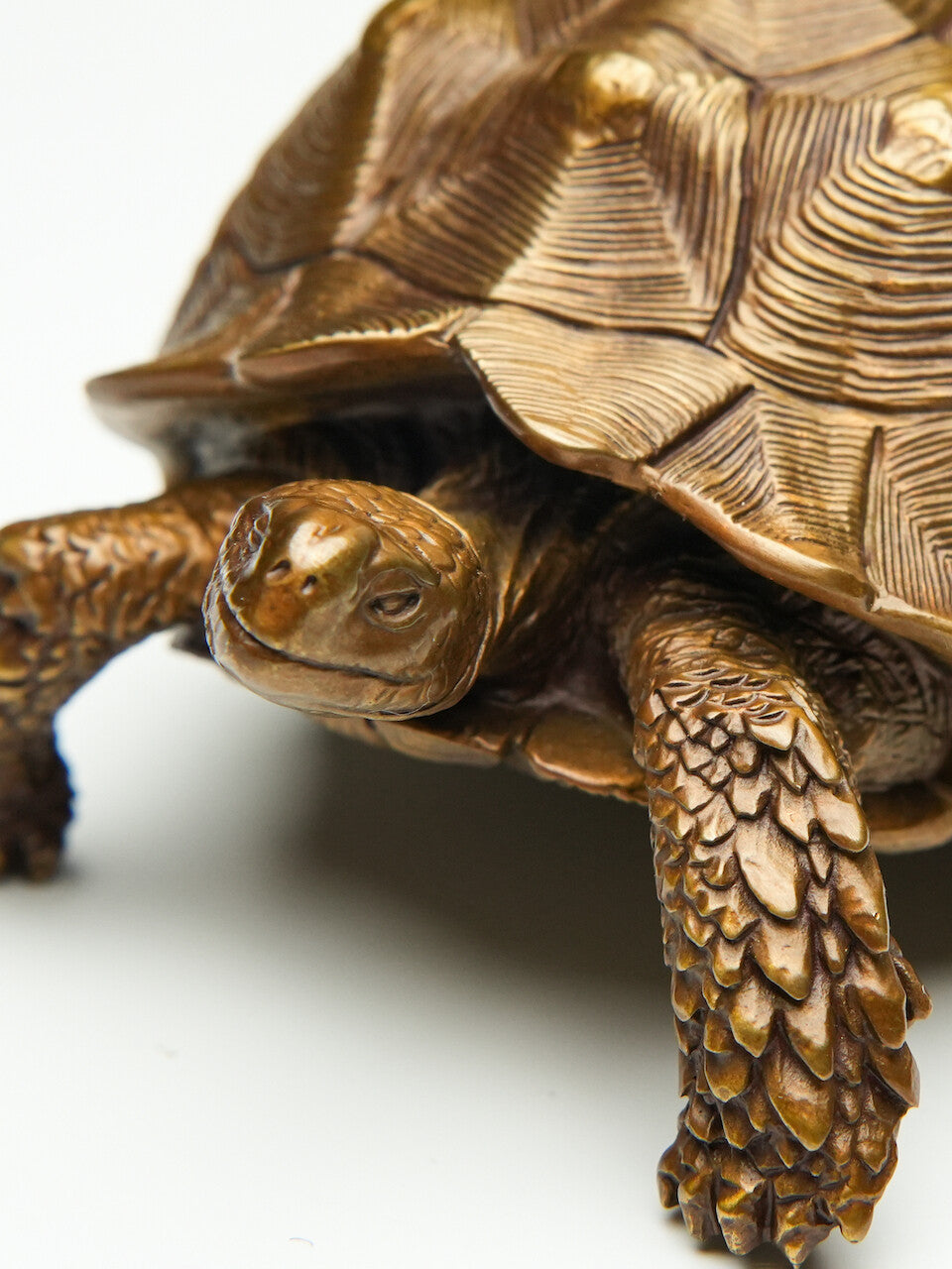 Chinese Brass Hand Casting Turtle Statue Figure Collectable Home Decoration 400g