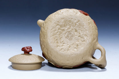 Handmade Tea Pot 9 Infuser Holes Yixing Zisha Duan Clay Frog Carved Relief Pot