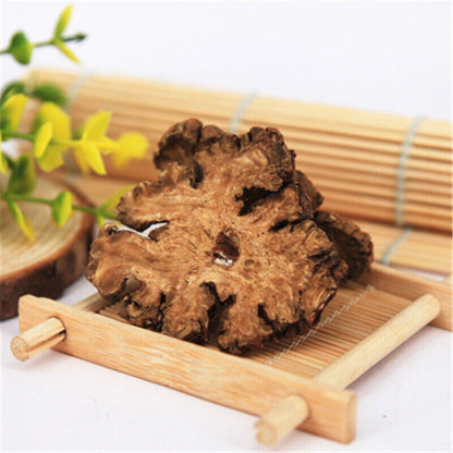 Chuan Xiong Szechuan Lovage Root -Ligusticum 100% Natural Chuanxiong Health Care