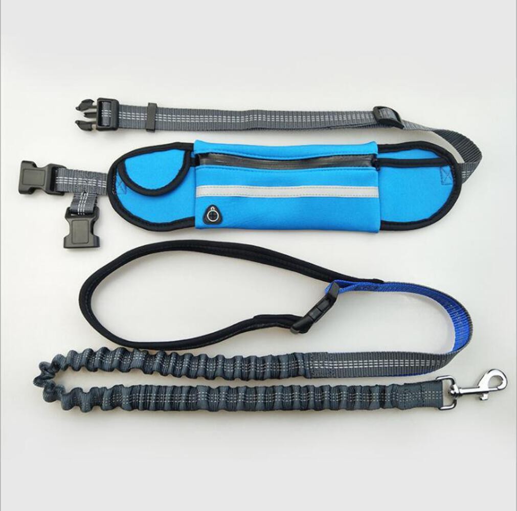Shock Absorbing Bungee Dog Leash with Waist Bag - Hands-Free