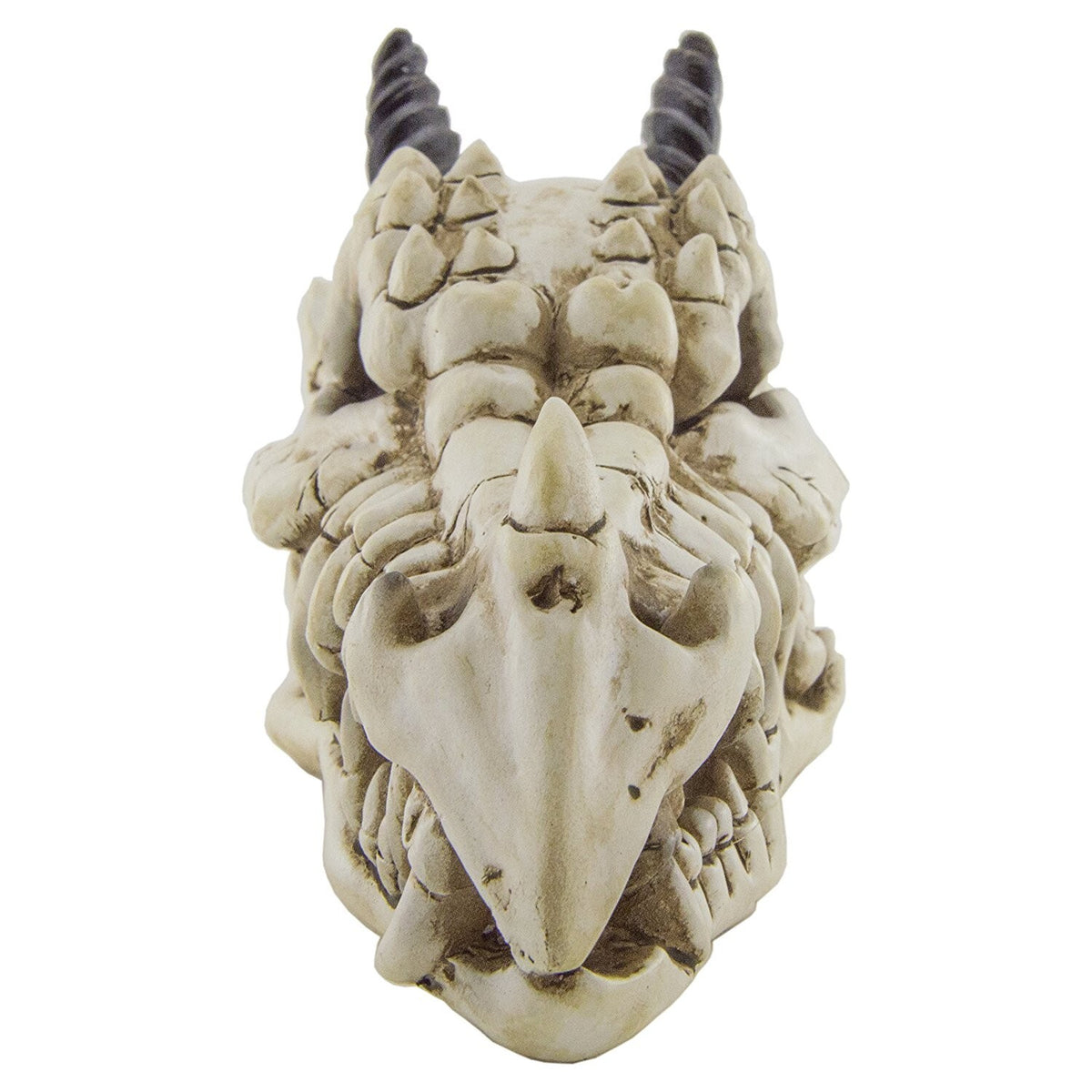 Snarling Magical Dragon Skull Creepy Coin Piggy Bank Polyresin Stash Storage Box