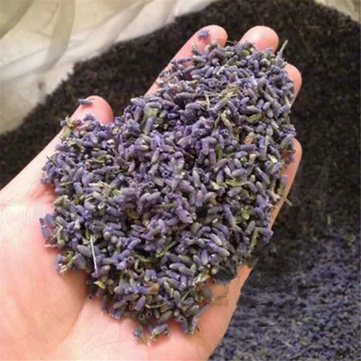 50g Lavender Dried Flower Tea Yangxinanshen Chinese Herbal Gift Good for Sleep