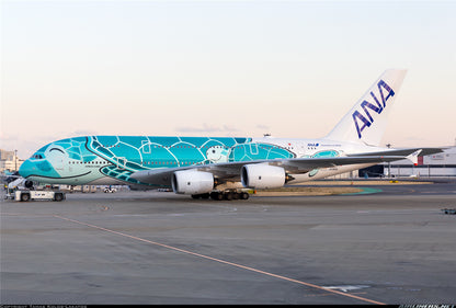 1:400 Phoenix ANA AIRBUS A380 Passenger Airplane Diecast Aircraft Plane Model