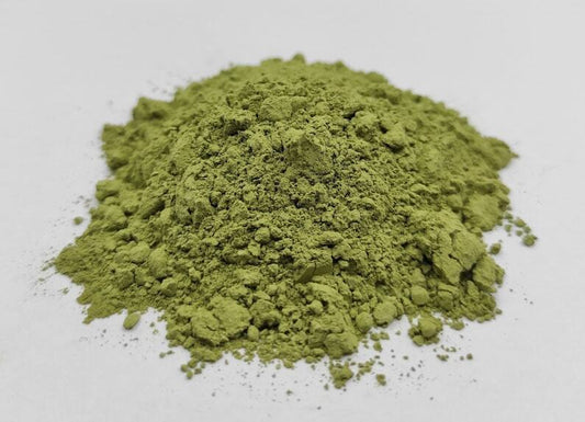 Green Tea Powder with Shelf Stable Probiotics and Fiber, Matcha Sugar Free