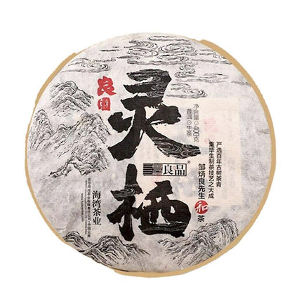 400g Top Raw Puer Tea Cake Haiwan The Gathering of Plant Spirit Shen Puerh Tea