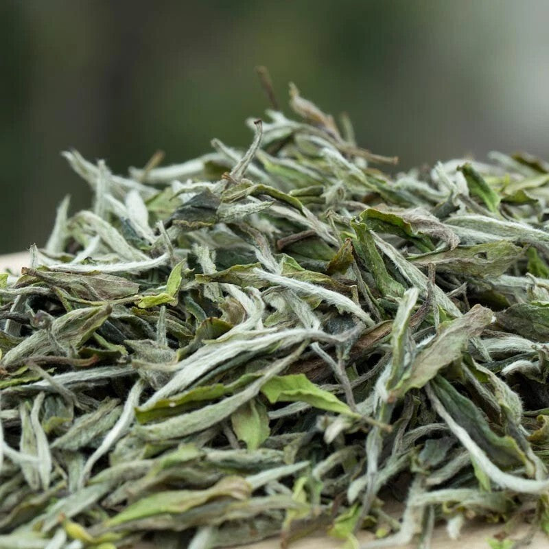 500gFuDing High Mountain Bai Mu Dan White Tea Aged Fuding White Peony Pai Mu Tan