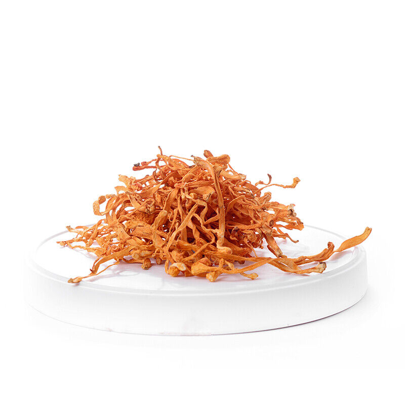 Cordyceps Militaris/Chong Cao Hua 虫草花 /North Herbal Cordyceps Flower