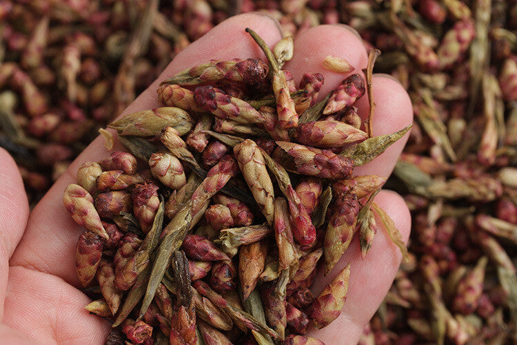 Big Snowy Mountain Wild Tree Red Que Zui YABAO Tea Pu-erh Tea Purple Buds 500g