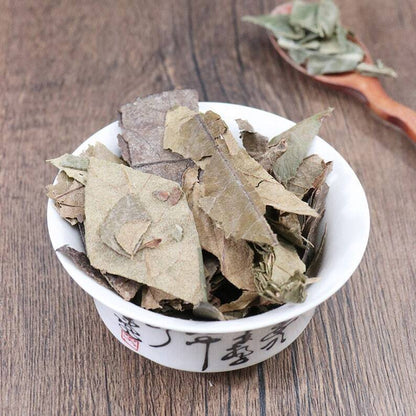 Organic Herbal Loguat Leaf Folium Eriobotryae Eriobotrya Japonica Great Quality
