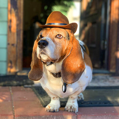 Dog Cat Western Cowboy Hat Pet Hat Pet Accessories Photo Prop Universal Retro