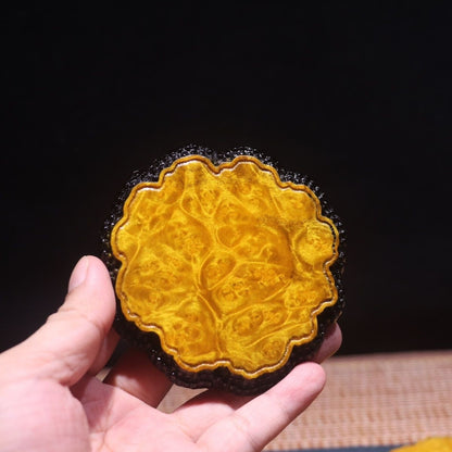 Golden Camphor Wood Tea Coaster 1pc Solid Wood Dry Tea Tray Kung Fu Tea Mat