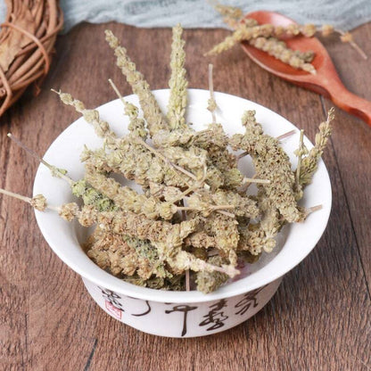 Organic Herbal Fineleaf Schizonepeta Herb Herbal Schizonepetae Healthy Tea