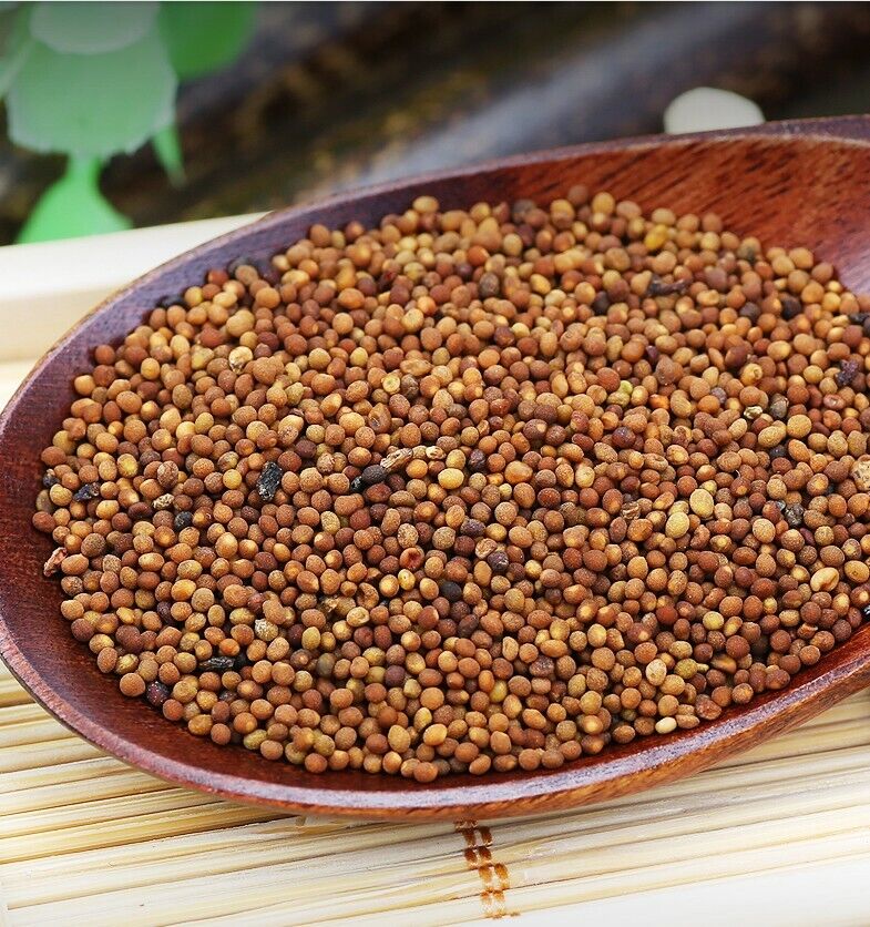 100% Natural Dried Dodder Seed tu si zi * Chinese Herb Tea