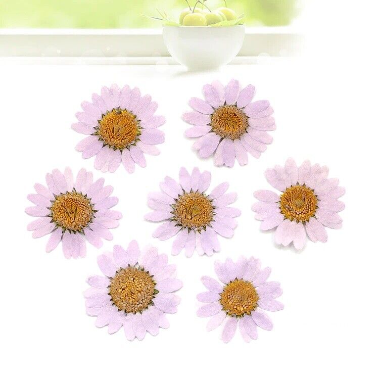 Dried Flowers Pressed Dry Daisy Epoxy Resin Jewelry Making Materials 120Pcs/Lot