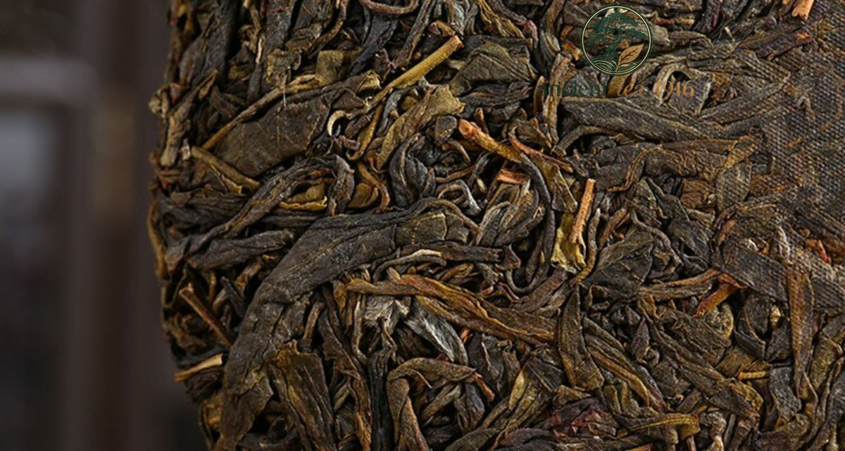 Sheng Pu Erh Tea Cake Yunnan Menghai Raw Pu Erh Chinese Tea 357g