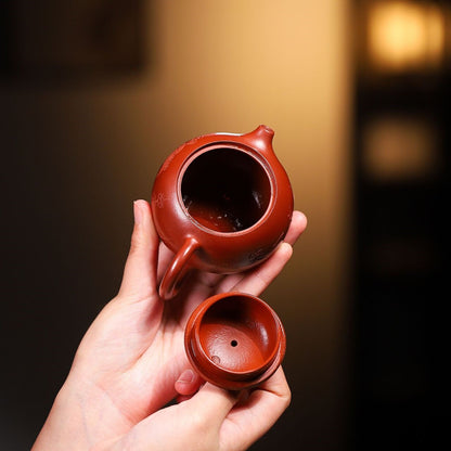Handmade Tea Pot Marked Beauty Carved Real Yixing Zisha Dahongpao Clay Xishi Pot