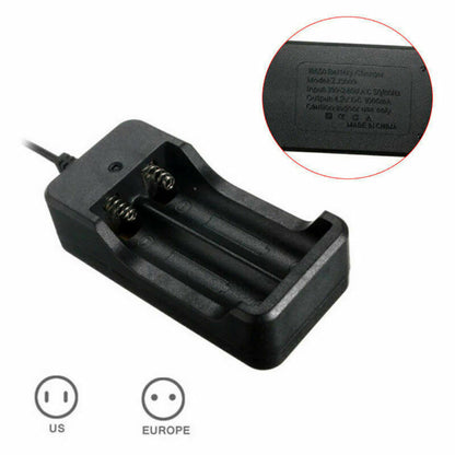 Family Charger Dock and LED Torch Plug Dock For Model 18650 Li-ion Charger Box