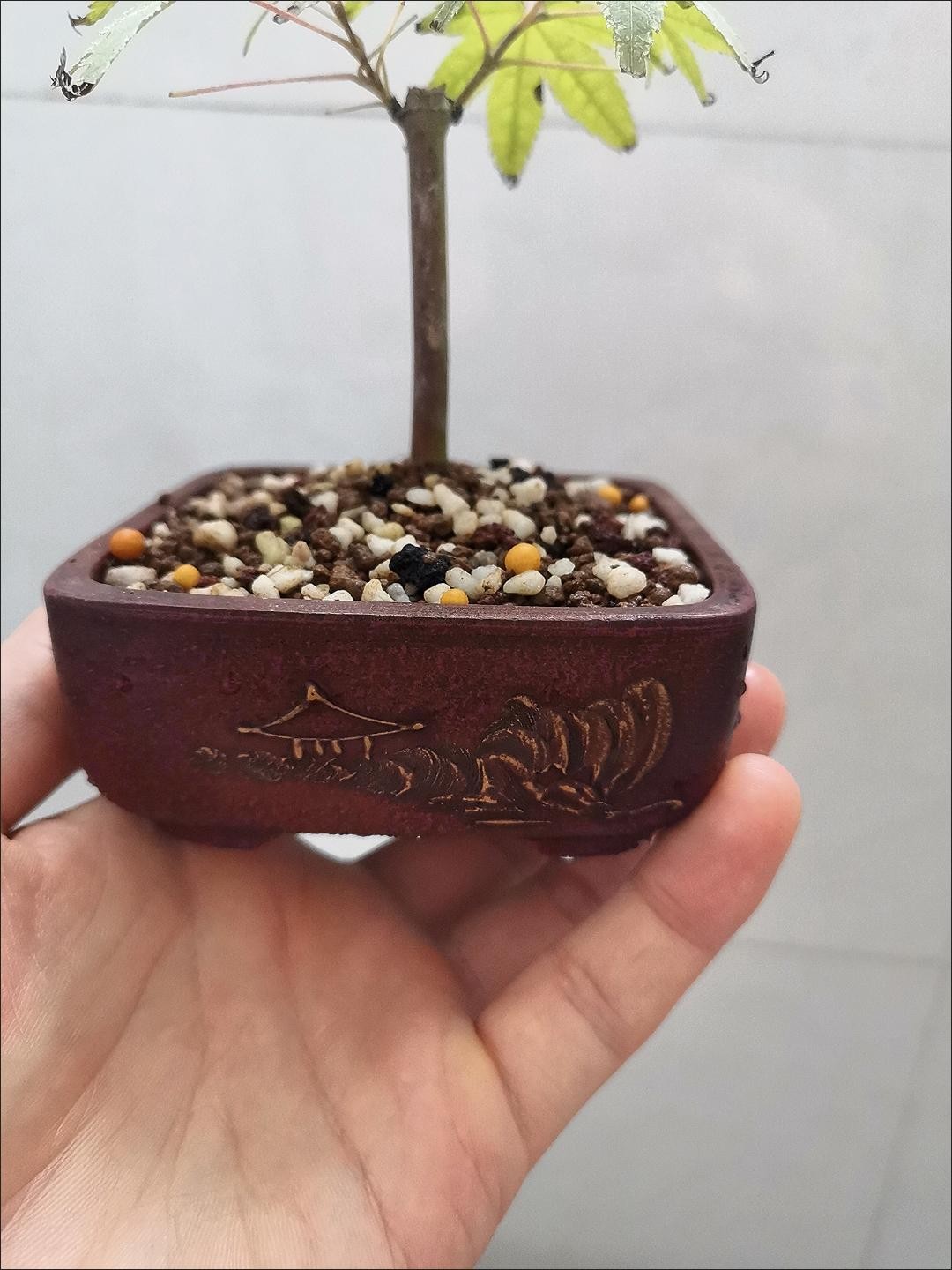Zisha Flower Pot Round Square Mud Painting 8.8cm Succulent Pot