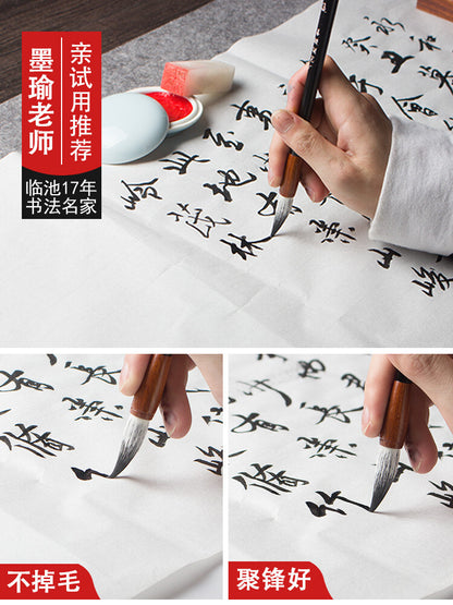 中国毛笔善琏湖笔厂双羊牌大中小号兼毫毛笔套装初学者练字成人书法绘画中国十大名牌 （ 赠精美书签 ）-