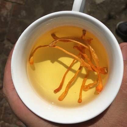 Cordyceps militaris/Nourishing kidney/Nourishing lung herbal health new product-